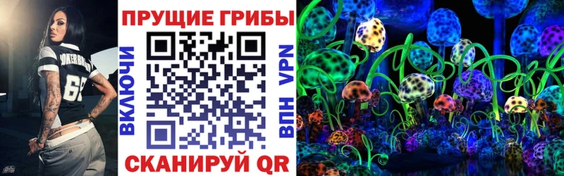 Галлюциногенные грибы прущие грибы  Купить  Оха 